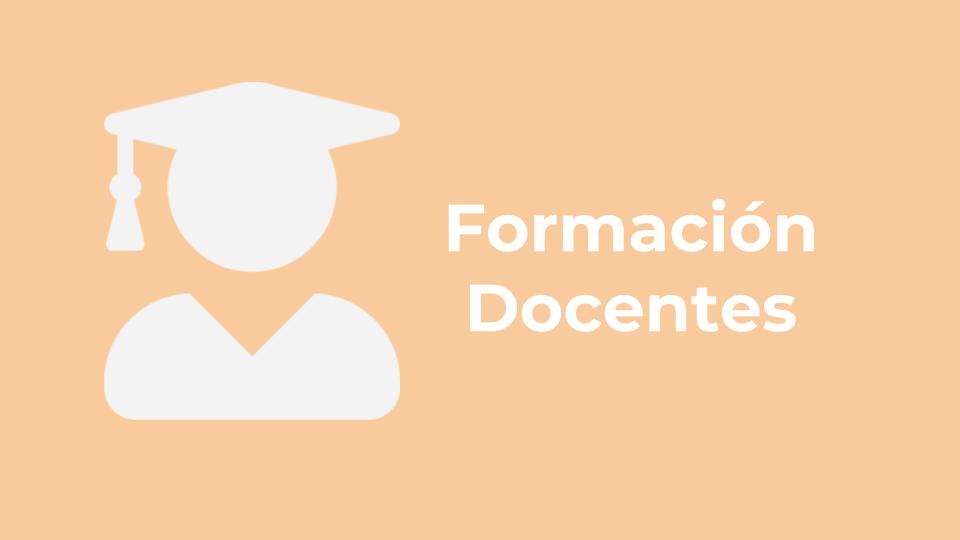 Formación Docentes 