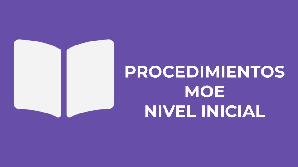 CURSO INICIAL PROCEDIMIENTOS MOE