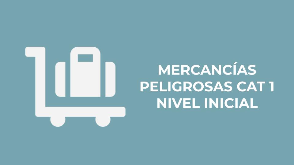 MMPP CAT. 1 - Nivel INICIAL