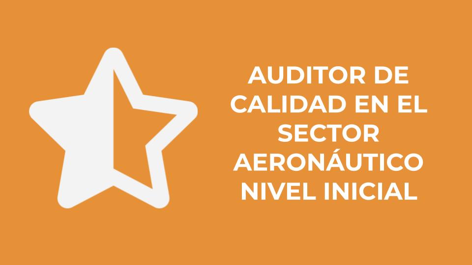 Auditor de Calidad en el Sector Aeronáutico - Nivel INICIAL