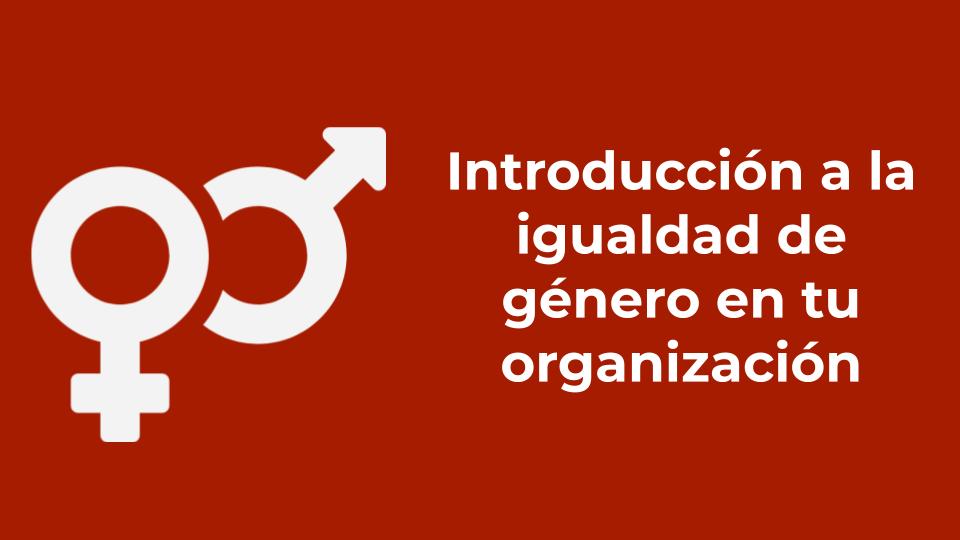 Introducción a la igualdad de género en tu organización